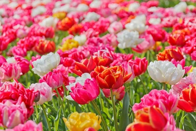 Pictures For You To Share: September 2015