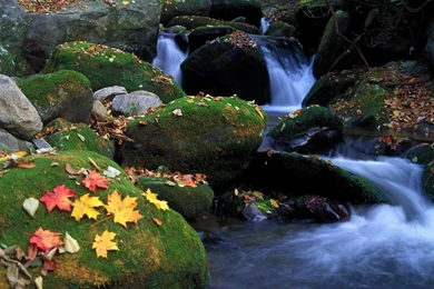 HD Nature Wallpapers « HD Wallpapers