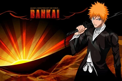 Wallpapers Ichigo New Bankai 1024x768