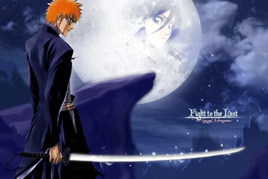 87185 animebleach.jpg