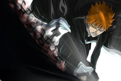 Bleach Kurosaki Ichigo Bankai 1024x768 Wallpapers – Anime Bleach HD ...
