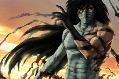 Bleach Kurosaki Ichigo Bankai Hollow Ichigo Vastolorde 1920x1080 ...