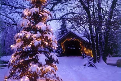 Wallpapers On Pinterest