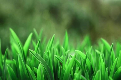 PS3 Themes Wallpapers HD Widescreen 4713   HD Wallpapers Site