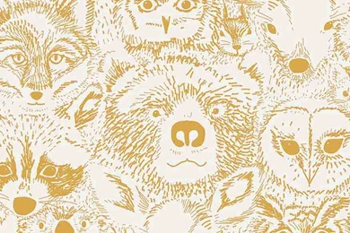 Flora & Fauna – Chasing Paper