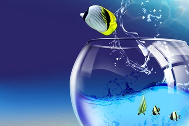 Live Ipad Wallpapers