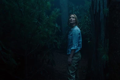 Joy Movie Heroine Jennifer Lawrence Wallpapers