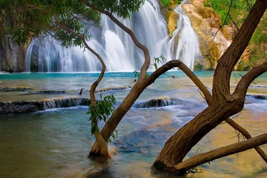 New Hd Wallpapers In Mobile 8 Jpg