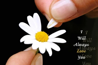 Cute Sayings Wallpapers   Wallpapers Cave