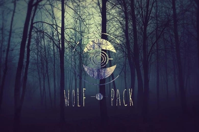 Wolfpack Wallpapers Wallpapers Cave