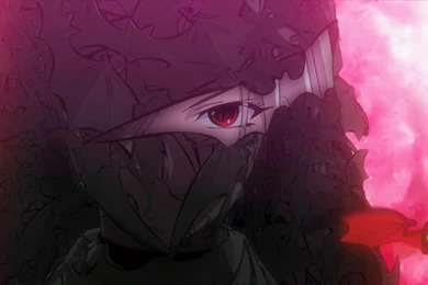 Rosario To Vampire Wallpapers   (