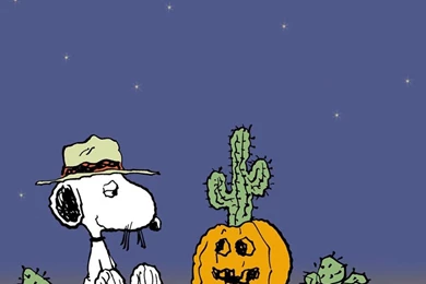 Windows Wallpaper, Images For Iphone, Widescreen Photos, Colorful ...