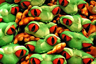 Download Nature HD Wallpapers From HD Wallpapers Deport Pro