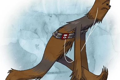 It Is Officially Wookie Wednesday! This Must Be A...