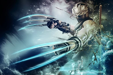 Ninja Gaiden Wallpapers