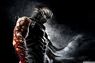 Download Ninja Gaiden 3 Shinobi Veneno Wallpapers 1920x1080 ...