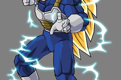 Dragon Ball Z Goku Super Saiyan 3 Vs Vegeta Super Saiyan 3 ...