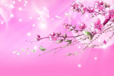 Download Hd Wallpapers Pink Girly Wallpapers Dream Wallpapers Girly ...