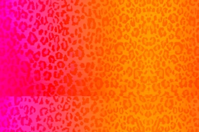 Milozjam: Orange Rio Wallpapers