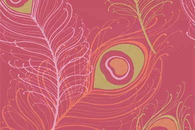 Vymura Festoon Feather Wallpapers Red Pink Orange M0559 Vymura ...