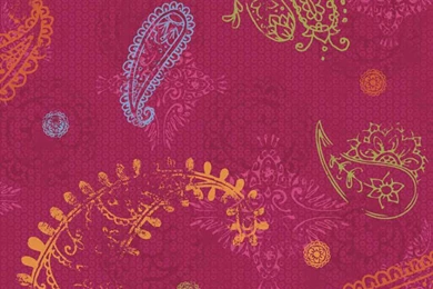 Top Pink Orange And Calendula Wallpapers