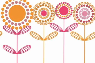 Buy Caselio Monique Wallpapers Border White / Orange / Pink