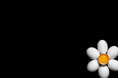 Wallpapers Egg Like Flowers Food Wallpapers Black Backgrounds HD For ...