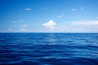 Download The Wallpapers From GMail HD Themes ~ Web Upd8: Ubuntu ...