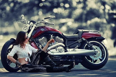 Free Harley Davidson Wallpapers   Wallpapers Cave