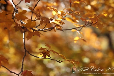 Desktop Wallpapers   Guadalupe Mountains National Park (U.S. ...