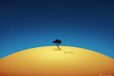 Desktop Wallpapers {MacBook Air} · Vladstudio