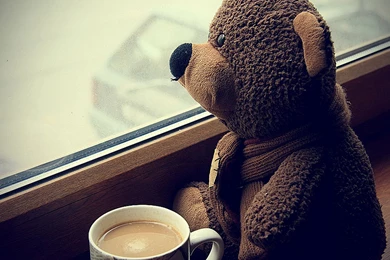 Cute Plush Toys Xionggao Qing Desktop Wallpapers 8 － Other ...