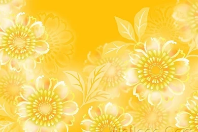 Graphic Flowers, Beautiful Flowers Illustrations (1920+1600 ) 11 ...