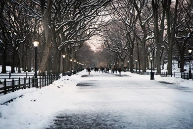 Winter In New York City Wallpapers