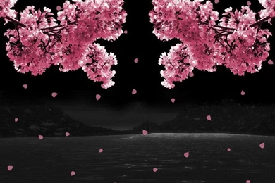 Animated Gif Graphics