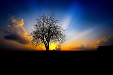 Amazing High Quality Wallpapers