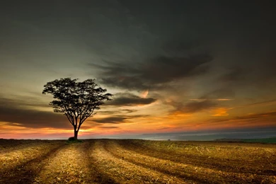 Beautiful Landscape Wallpapers 1600x900