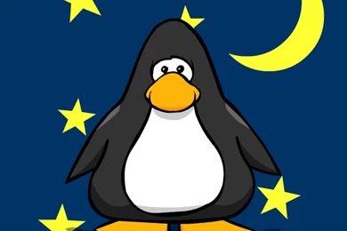 Image   Nighttime Backgrounds From A Player Card.png   Club Penguin ...