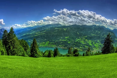 Spring Desktop Wallpapers 1280x1024