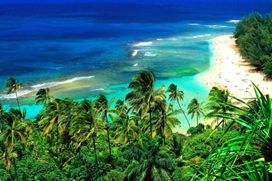 Hawaii Beach Wallpapers For Desktop