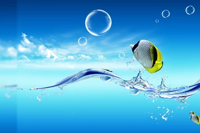 Free Live Wallpapers Desktop