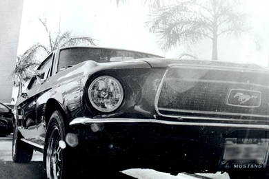 Desktop Wallpapers Mustang 67