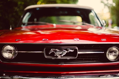 Cars, Ford Mustang :: Wallpapers