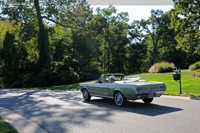 1967 Ford Mustang Images. Wallpapers Photo: 67 Ford Mustang DV 12 ...