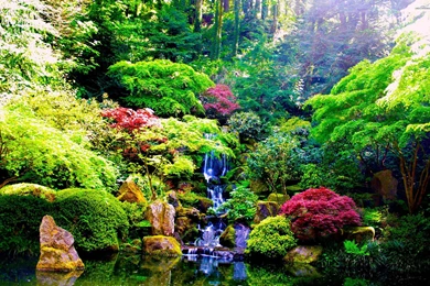 Breathtaking Waterfall, Forest, Tree, Summer, Nature, 2560x1600 HD ...