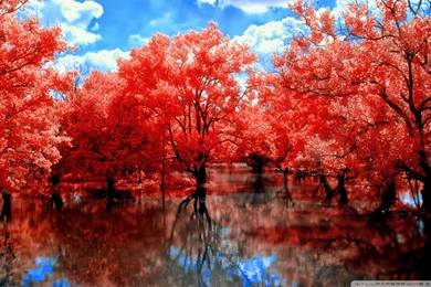 As In Fairy Tales HD Desktop Wallpapers : Widescreen : High ...