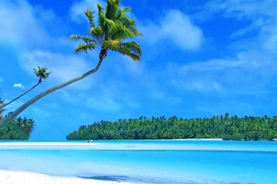 The Best Hawaii Wallpapers