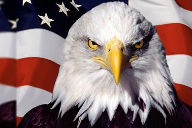 American Flag Wallpapers   Wallpapers Cave