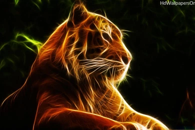 Wallpapers Hd Free Collection (41+)