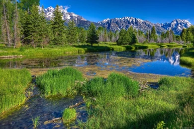 HD Nature Wallpapers For Computer   HD Wallpapers